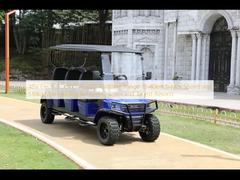 عربة غولف كهربائية بجهد 48 فولت بمدى 70-80 كم، وسرعة قصوى 18-40 كم/ساعة، وتحميل أقصى 510 كجم لملاعب الغولف والمنتجعات السياحية